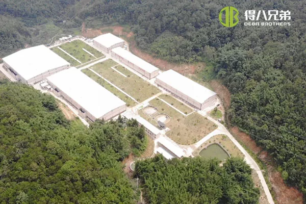 ãKvapalinový kŕmny systémã Guangdong Zhaoqing 20 000 výkrm 10 000 farma ošípaných na odstav.