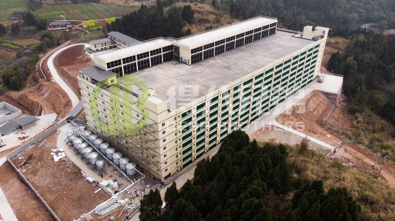 Ako zlepšiť kvalitu životného prostredia v modernom dizajne chovu ošípaných