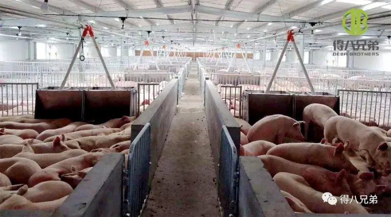 Účinné protiopatrenia proti tepelnému stresu v lete