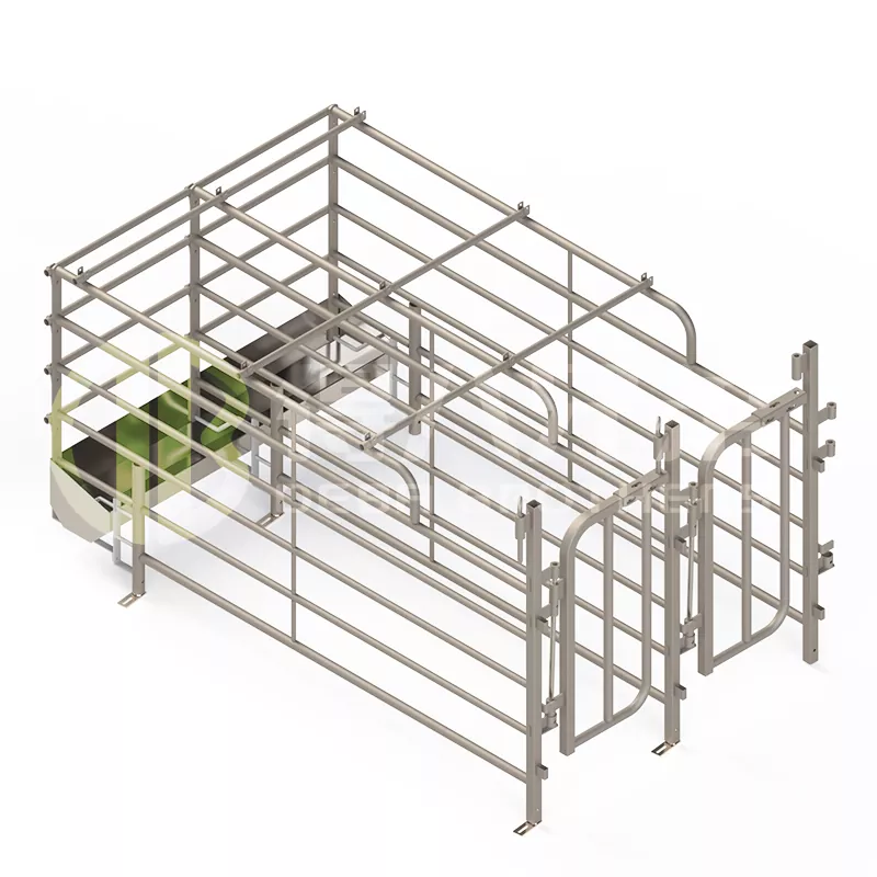 Širšie španielske voľne prístupné stajne pre ošípané